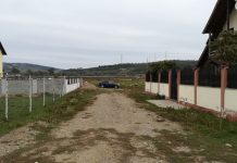 Uliţa denumită Radu Anton Roman, ruşinea cartierului Meltea