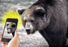 Vînătorii cer interzicerea „turismul de selfie”