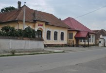 Investiţiile locale , la mîna firmelor