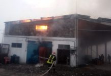 Incendiu la Făgăraş. 17 vaci au fost salvate din flăcări