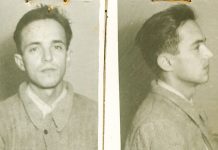 Brazii mor în picioare. Rezistenţa Anticomunistă din Ţara Făgăraşului- Serial