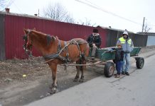 Calul fără adăpost