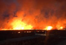 Incendiu de vegetaţie la intrarea în Făgăraş. Flăcările de 4-5 metri ameninţă casele