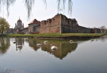 Povestea lebedelor de la Cetatea Făgăraşului are o istorie veche de aproape 4 secole