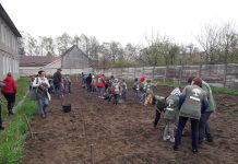 Livada de meri de la Şcoala Beclean. Copiii au plantat 65 de puieţi
