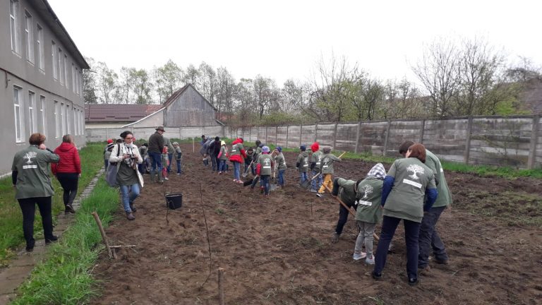 Livada de meri de la Şcoala Beclean. Copiii au plantat 65 de puieţi