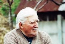 În memoria lui Ion Gavrilă Ogoranu. Cartea şi brazii care mor în picioare