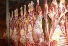 Mieii se vor vinde în hala din Piaţa Agroalimentară Făgăraş