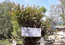 Valea transformată în groapă de gunoi