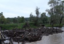 Viitura a blocat activitatea şantierelor de la Comăna şi Hălmeag. ,,Tot ce am lucrat la Hălmeag, s-a dus pe apa Oltului”