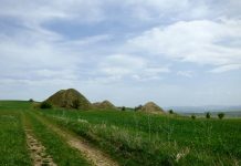 Reportaj: Misterul guruieţilor de la Şona și legenda uriașilor