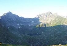 Vipere pe Valea Sâmbetei. Spitalul din Făgăraş nu are vaccin antiviperin