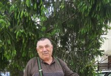 Urşii, o ameninţare pentru oameni. Emil Stroie, cel mai experimentat vânător din Ţara Făgăraşului, acuză autorităţile de incompetenţă şi de rele intenţii