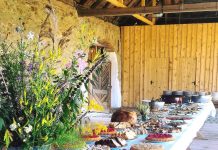 Cină în natură la Cincșor. Recital de vioară în întuneric 100%, la Biserica evanghelică din Cincşor