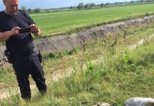 AVPS Făgăraş împotriva braconierilor