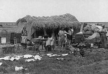 Noaptea Rusaliilor Negre. Mărturii din Infernul Bărăganului, din 1951