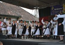 Bani publici pentru festivaluri . Aleşii judeţului, darnici şi cu sportul şi cultele