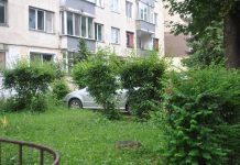 Parcări cu dedicaţie în loc de spaţii verzi. Locatarii de la Bl. 3 din V. Alecsandri sunt foc şi pară pe Primar