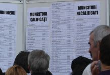 Cursuri gratuite pentru şomeri