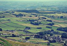 Afacerea ADS în Ţara Făgăraşului. Cercul vicios este întreţinut de ADS, Prefectură şi OCPI