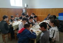 Proiecte europene, soluţii pentru abandonul şcolar. ,,Viitor pentru şcoală” la Viştea de Jos