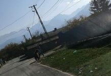 Lucian Berbecel din Victoria, victima ursului : ,,Ursul a sărit direct pe mine”