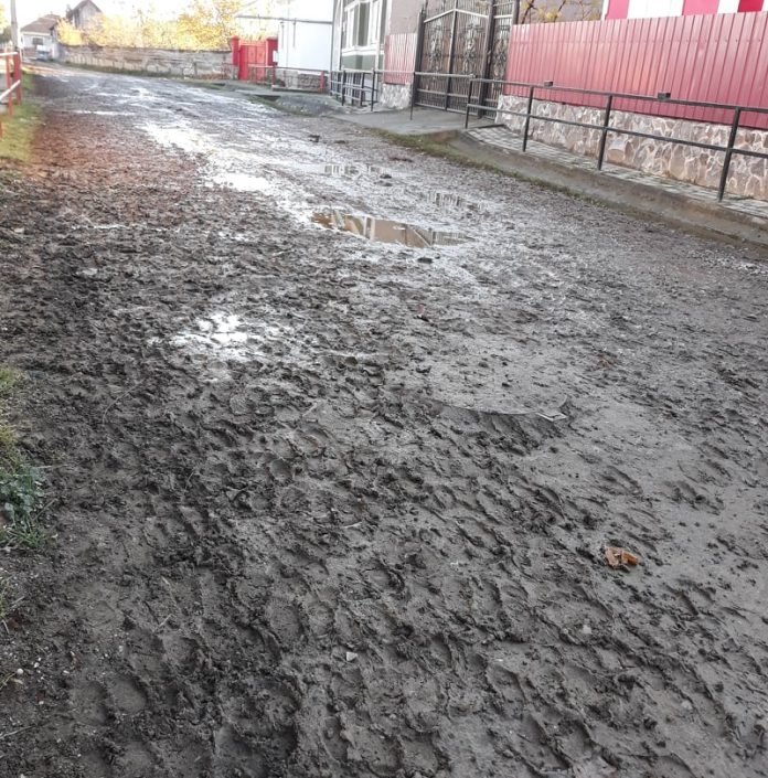 74567744_1116292138541098_1504609773448855552_n