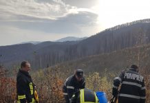 La Ohaba, pompierii se luptă cu flăcările de peste 24 de ore. 21 ha de teren sunt afectate