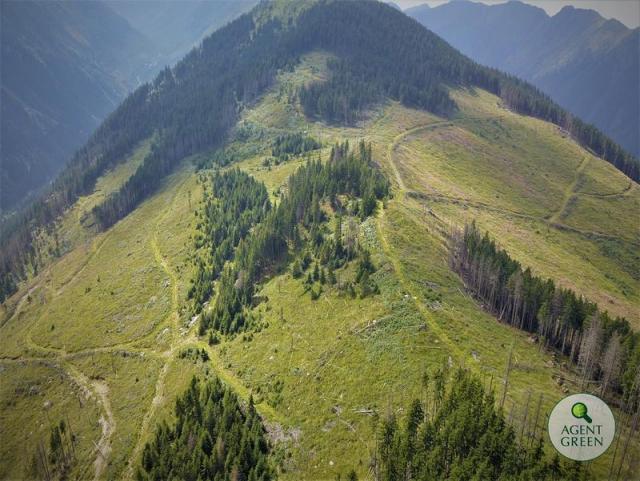 paduritaiate_20191123113812