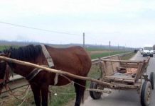 Un bărbat din Cincu a fost reţinut 24 de ore pentru furt