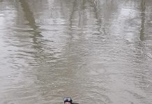 Tragedie în comuna Hoghiz. Continuă căutările pentru adolescentul dispărut. Al doilea copil dat dispărut a fost găsit în Olt