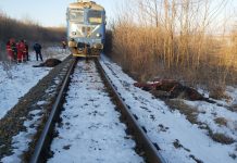Cai loviţi de tren între Vlădeni şi Dumbrăviţa. Cinci dintre ei au murit