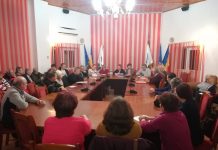 Cetăţenii din Victoria şi-au spus păsurile într-o dezbatere publică. Cea mai mare problemă, poluarea de la Purolite