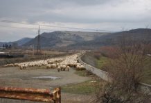 An electoral: ,,Vine iar Ocolitoarea!”