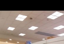 Foto şi Video. ,,Este panică în oraş. Magazinele au rafturile goale, lumea este speriată” spune o făgărăşeancă, profesoară în Gallarate, oraş de lângă Milano