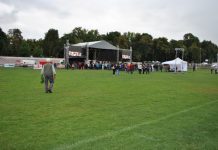 Buget electoral: Acţiuni culturale şi sportive de aproape 4 milioane de lei la Făgăraş