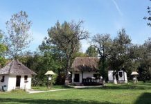 Exponate de la Muzeului Satului Bran sunt expuse la Făgăraş. Proteste şi petiţii pentru susţinerea muzeului din Bran
