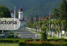 Program redus la Primăria Victoria şi la serviciile subordonate