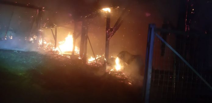 91775437_254916068851229_4480055475647283200_o