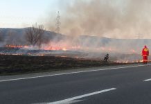 Incendiu de vegetaţie între Olteţ şi Viştea de Jos, lângă DN1
