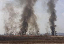 Incendiu la intrarea în Făgăraş. ,,Flăcările ne ameninţă casele” spun speriaţi locatarii caselor din zonă