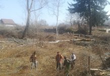 Foto şi VIDEO. Se lucrează la noul parc din Victoria. Investiţie de 3,5 milioane de lei din fonduri europene