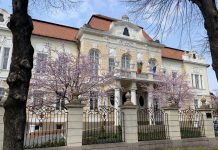 Studenţii de la Medicină -ULB Sibiu, voluntari în lupta cu COVID-19