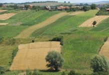 APIA a suspendat activitatea cu publicul. Fermierii nu mai pot depune cereri în perioada 16 martie- 6 aprilie