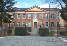 Elevii din Victoria fac cursuri on-line la limba şi literatura română