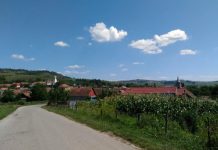 În comuna Şoarş mai sunt 2 persoane în autoizolare. Nicio persoană din comună n-a fost carantinată