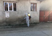 Video. Viorel Grusea: ,,Dezinfectăm străzile şi trotuarele din comuna Comăna tot la 2 săptămâni”