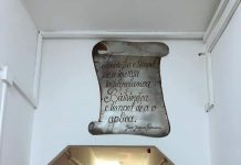 Angajaţii de la azilul ,,Castanul’’ din Victoria nu sunt infectaţi cu coronavirus. Testele au fost negative