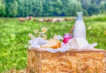 Florentina Paler de la ANZM, oficiul Lisa: ,,Produsele fermierilor de la munte pot fi recunoscute la nivel european”. Ce înseamnă ,,produs montan”