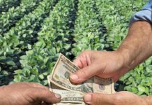 APIA eliberează adeverințe pentru beneficiarii Campaniei 2020